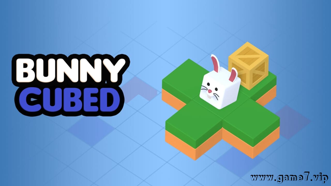 立方兔丨Bunny Cubed