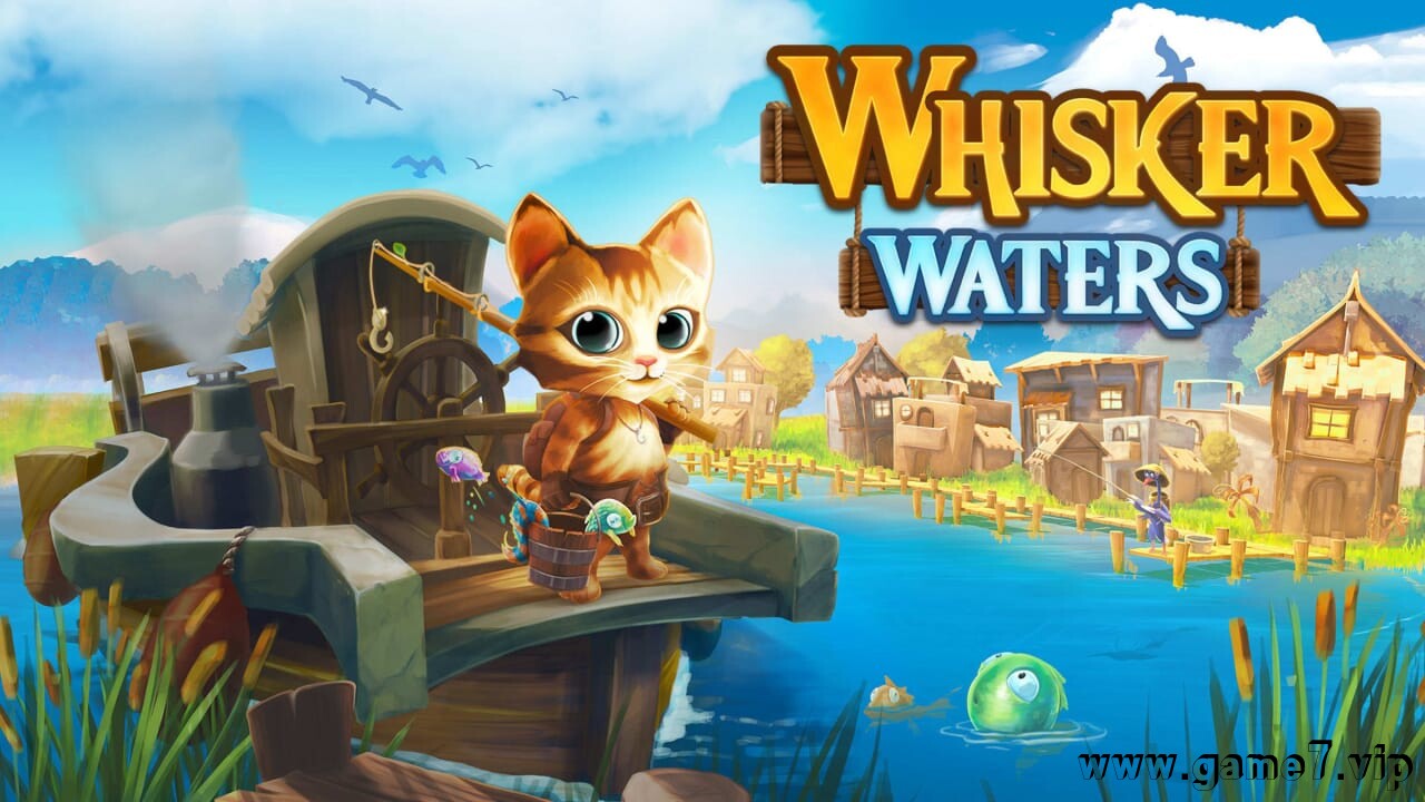 胡须水域丨Whisker Waters