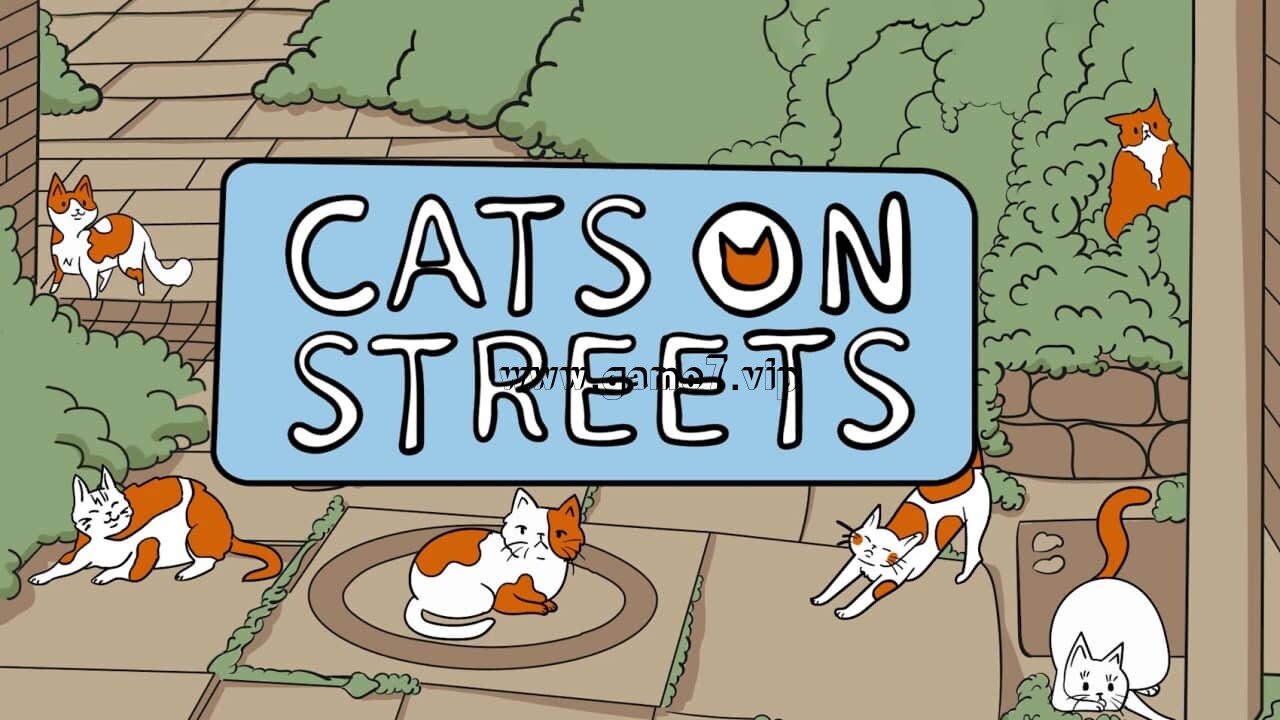 街上的猫丨Cats on Streets
