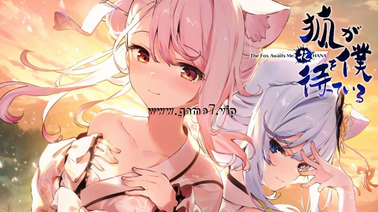 狐狸在等我花丨The Fox Awaits Me Hana