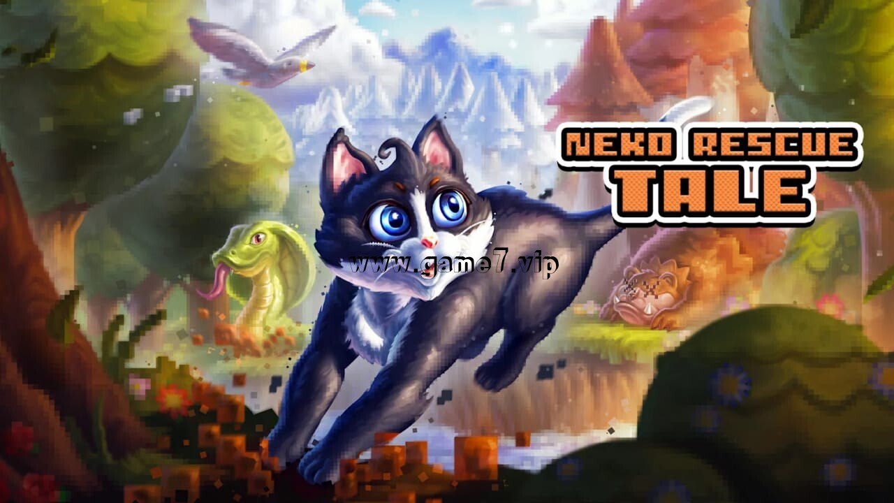 小猫救援故事丨Neko Rescue Tale
