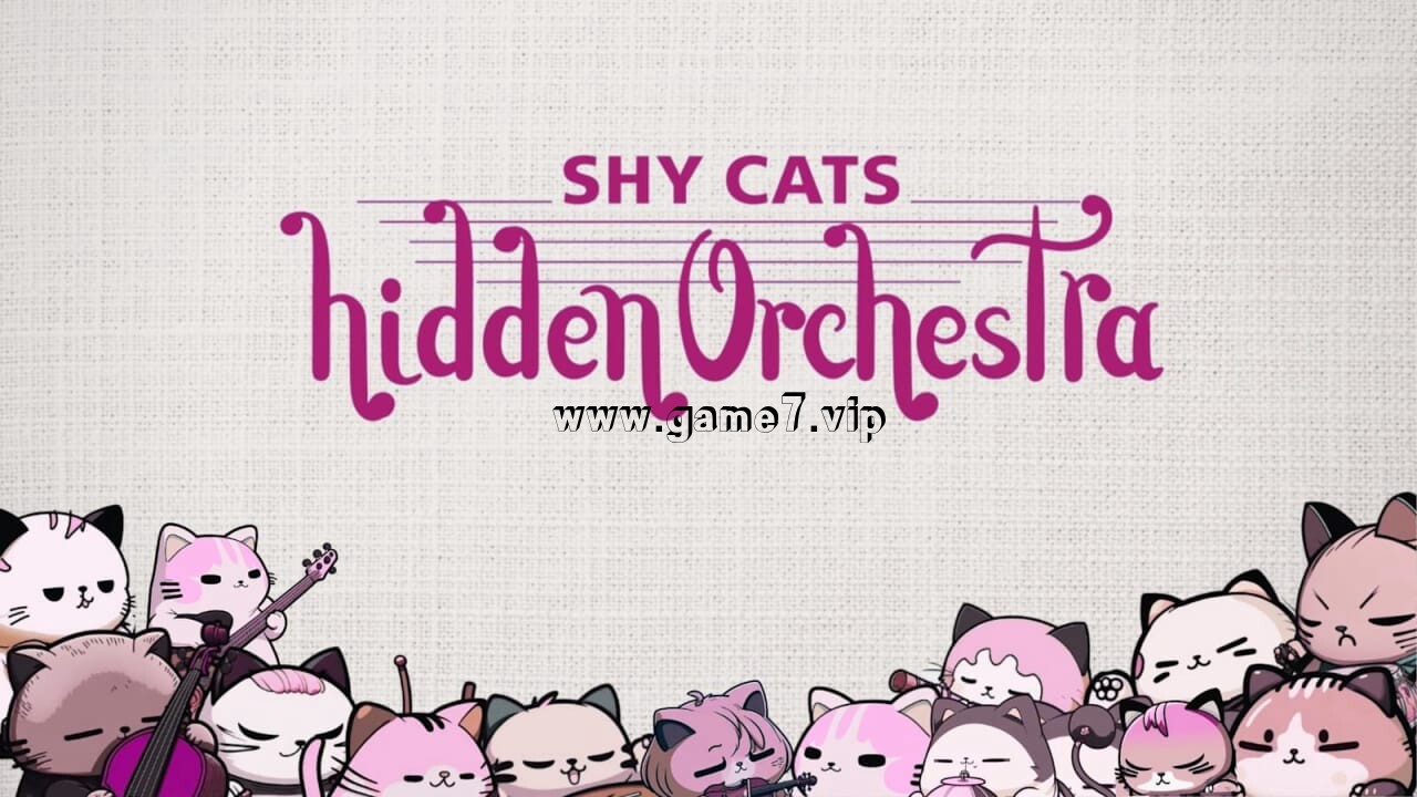 害羞猫隐藏乐团丨Shy Cats Hidden Orchestra