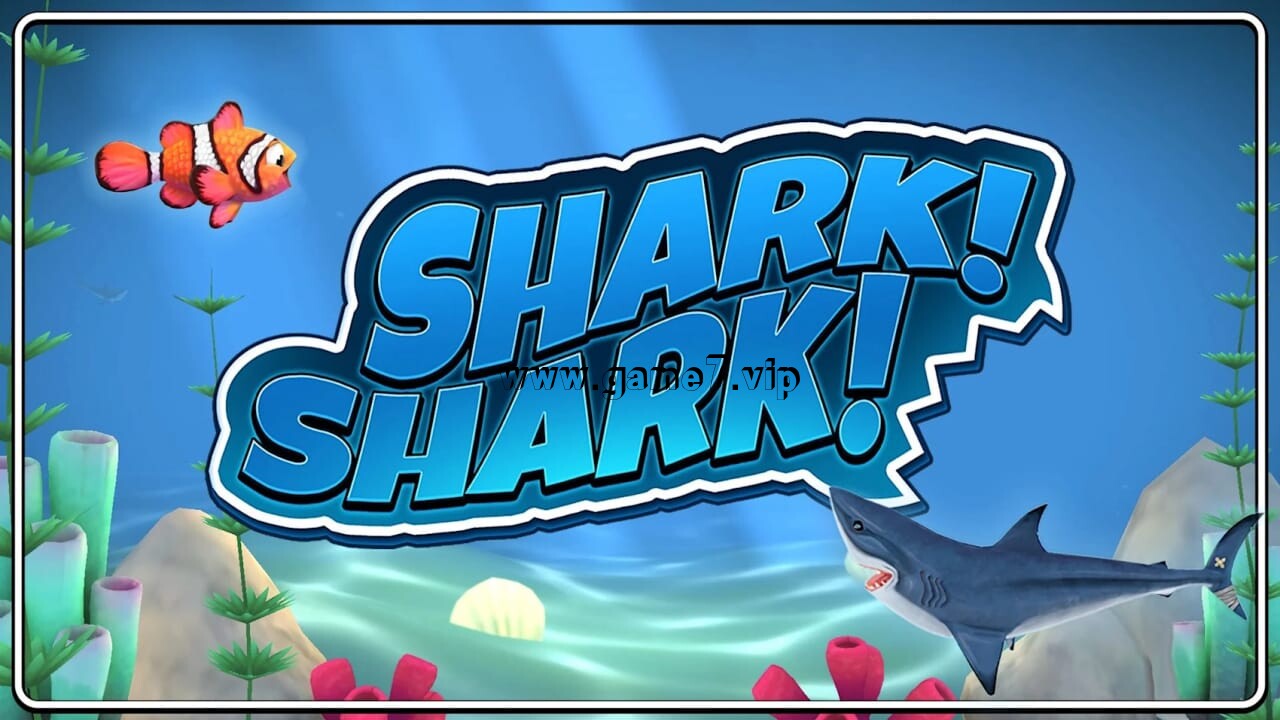 鲨鱼！鲨鱼！丨Shark! Shark!
