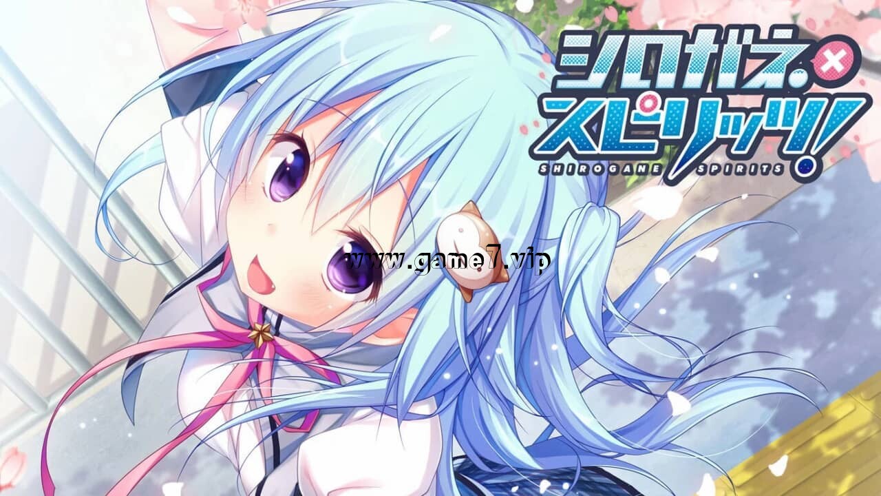 白金X长烈丨シロガネ×スピリッツ！