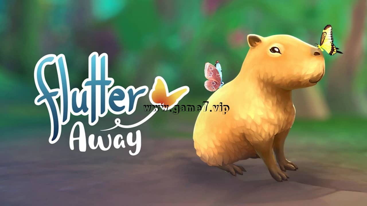 彩翼 雨林梦蝶丨Flutter Away