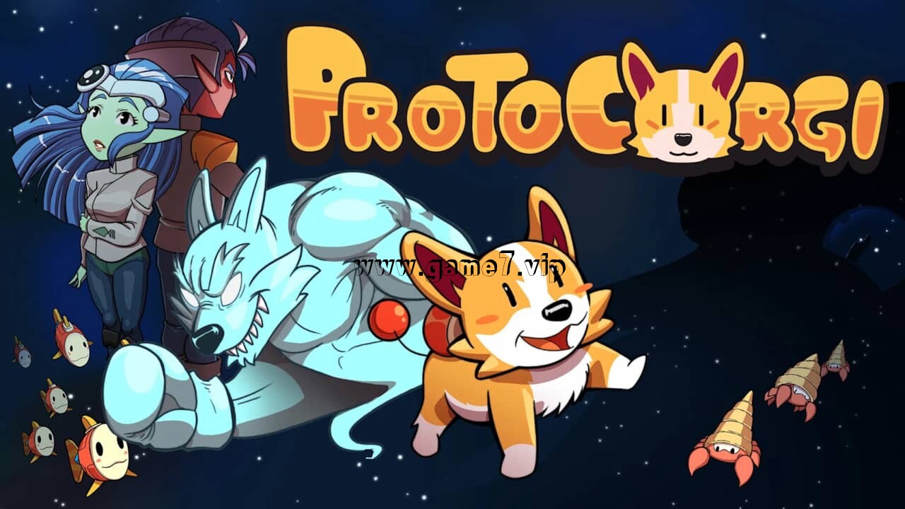 闪电柯基丨ProtoCorgi