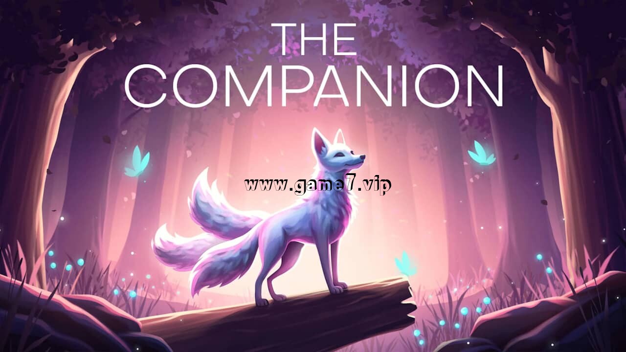 同伴丨The Companion