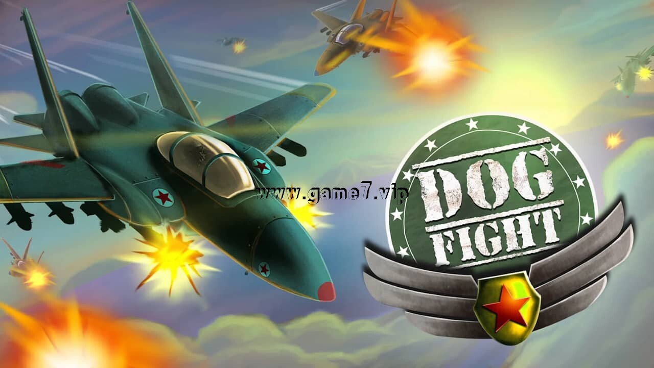 空中缠斗丨Dogfight
