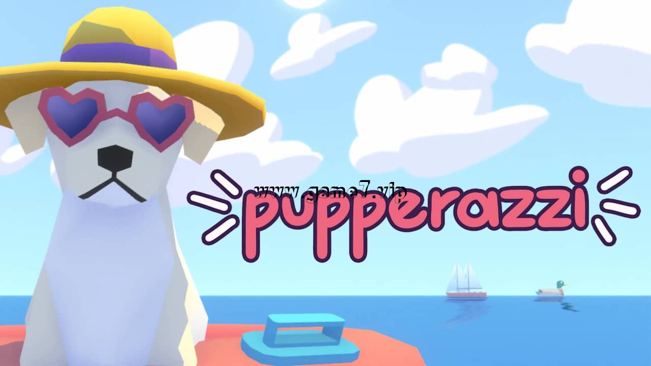 狗狗摄影师丨Pupperazzi