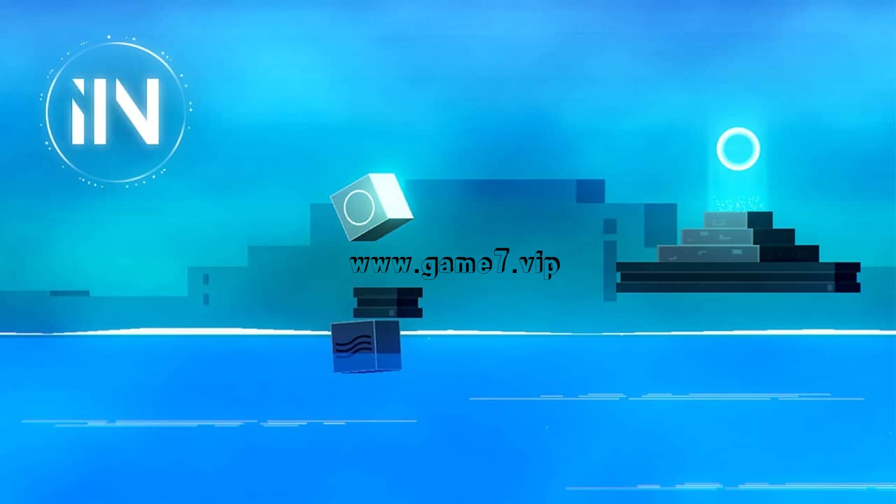 IIN