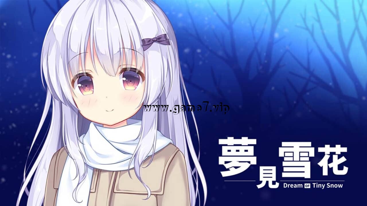 梦见雪花丨Dream of Tiny Snow