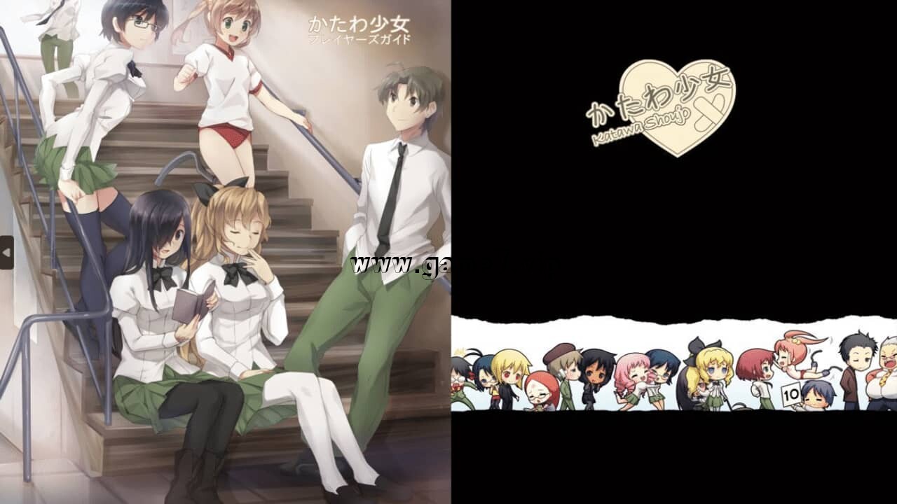 片轮少女丨Disability Girls