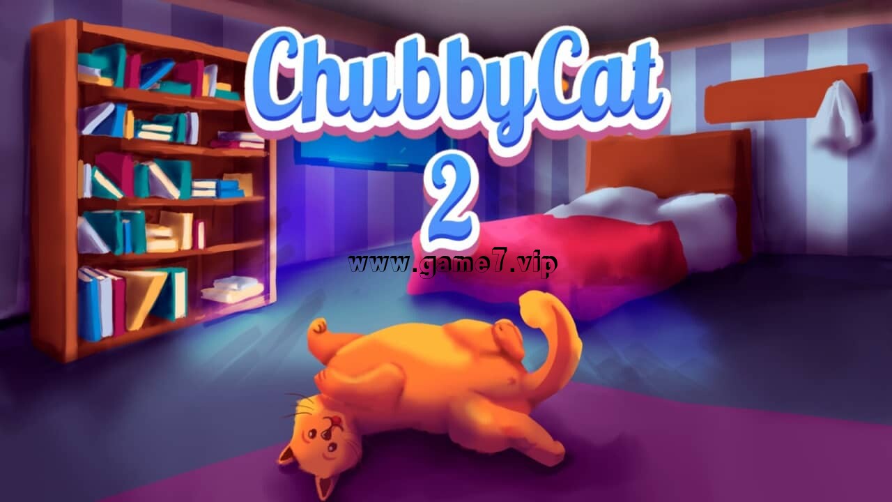 胖猫2丨Chubby Cat 2