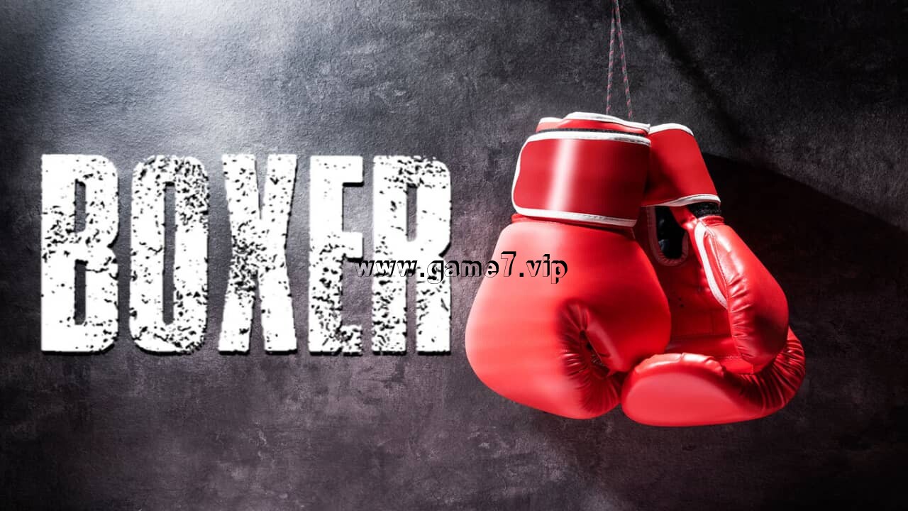 拳击手丨Boxer