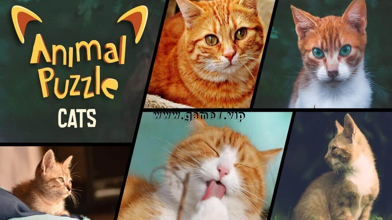 动物拼图猫丨Animal Puzzle Cats