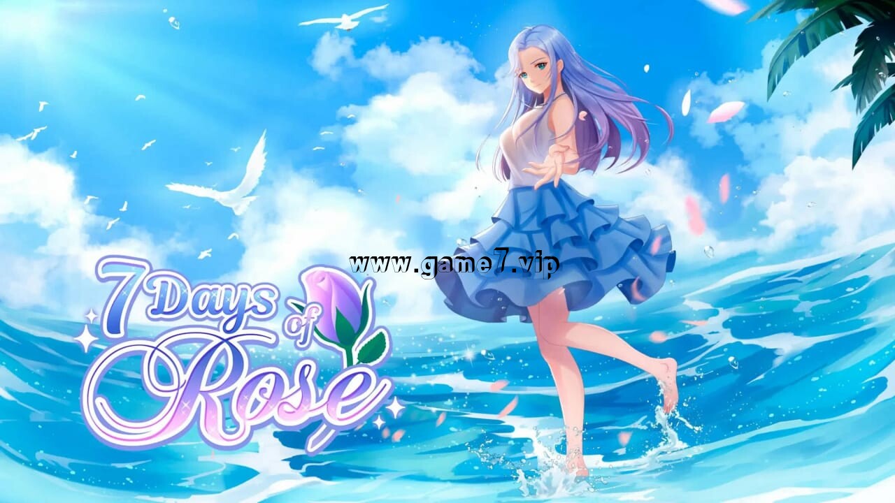 与罗丝共度七日丨7 Days of Rose