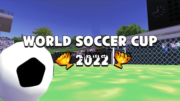 2022年世界足球杯丨World Soccer Cup 2022