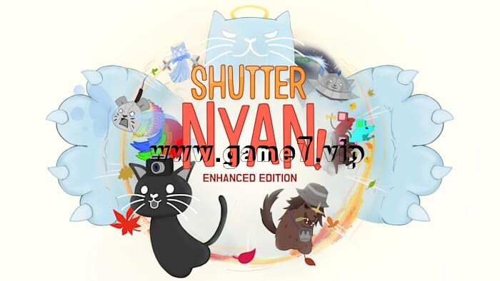 头顶相机的猫丨Shutter Nyang
