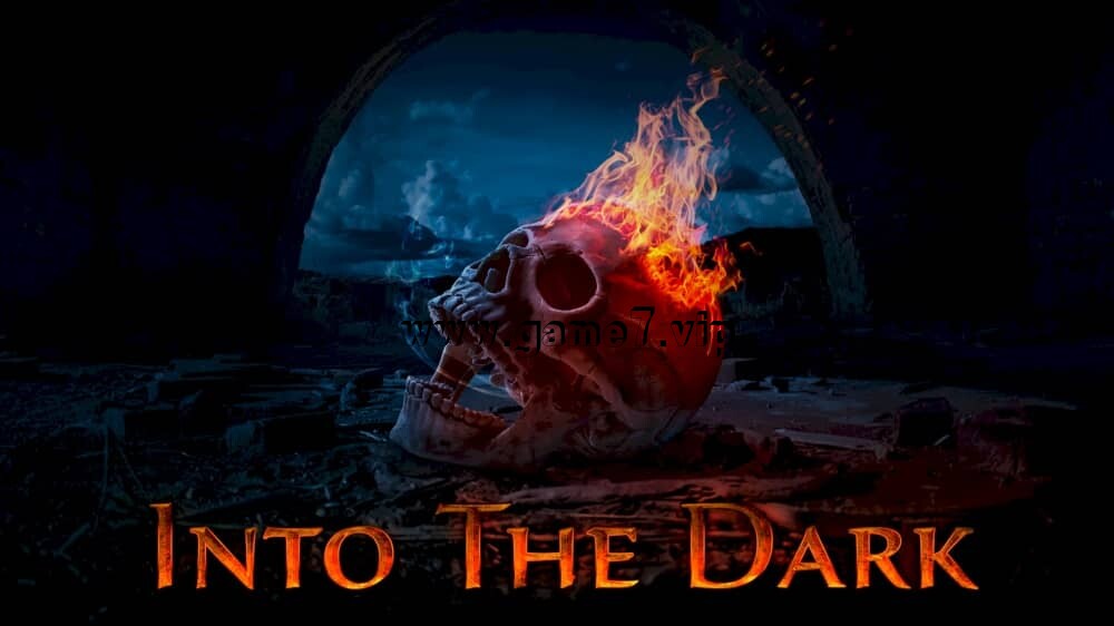 进入黑暗丨Into the Dark