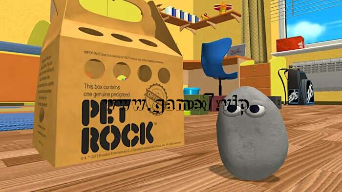 宠物石丨Pet Rock