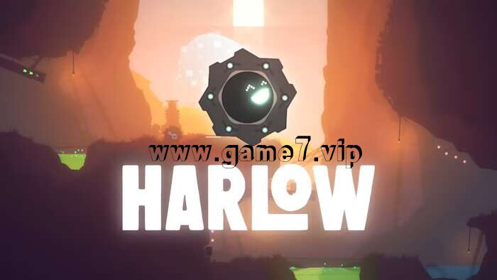 哈洛丨Harlow