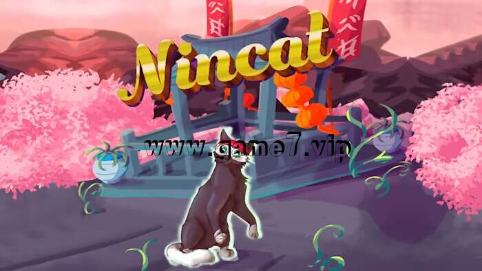 忍者猫丨Nincat