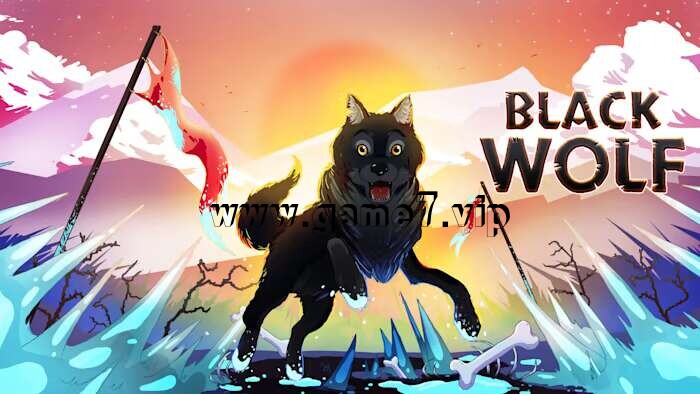 黑狼丨Black Wolf