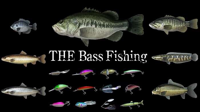 巴斯钓鱼丨THE Bass Fishing