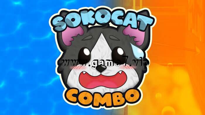 Sokocat – Combo