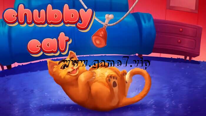 胖乎乎的猫丨Chubby Cat