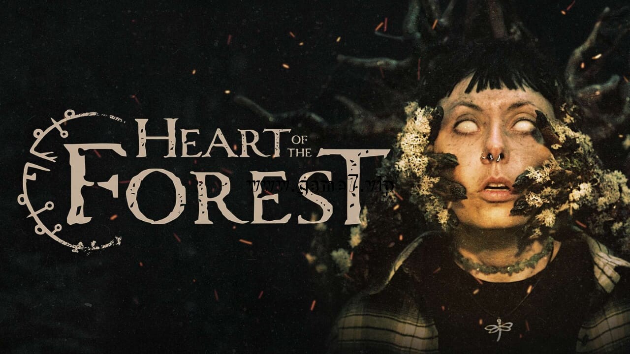 幽林深处丨Heart of the Forest