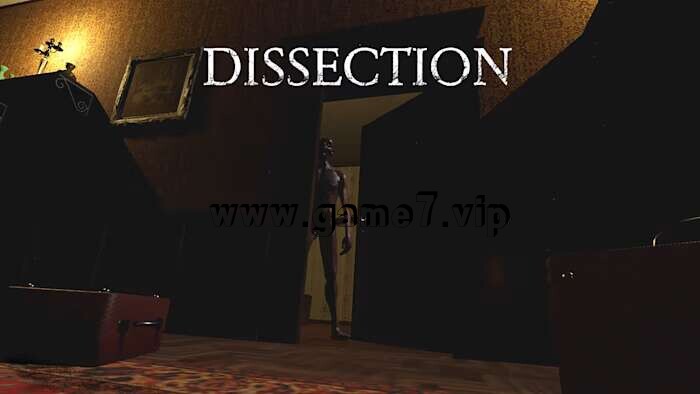 解剖丨Dissection