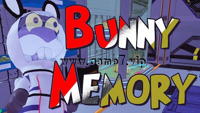 兔子记忆 Bunny Memory