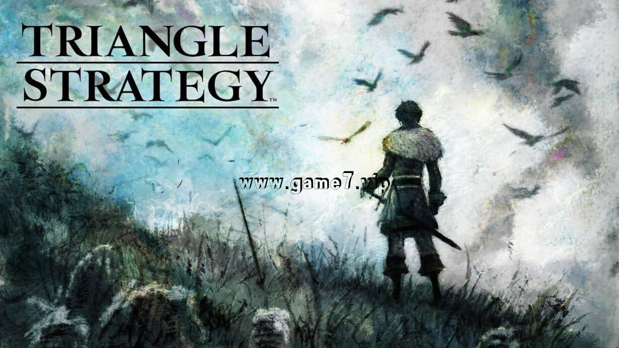 三角战略丨TRIANGLE STRATEGY