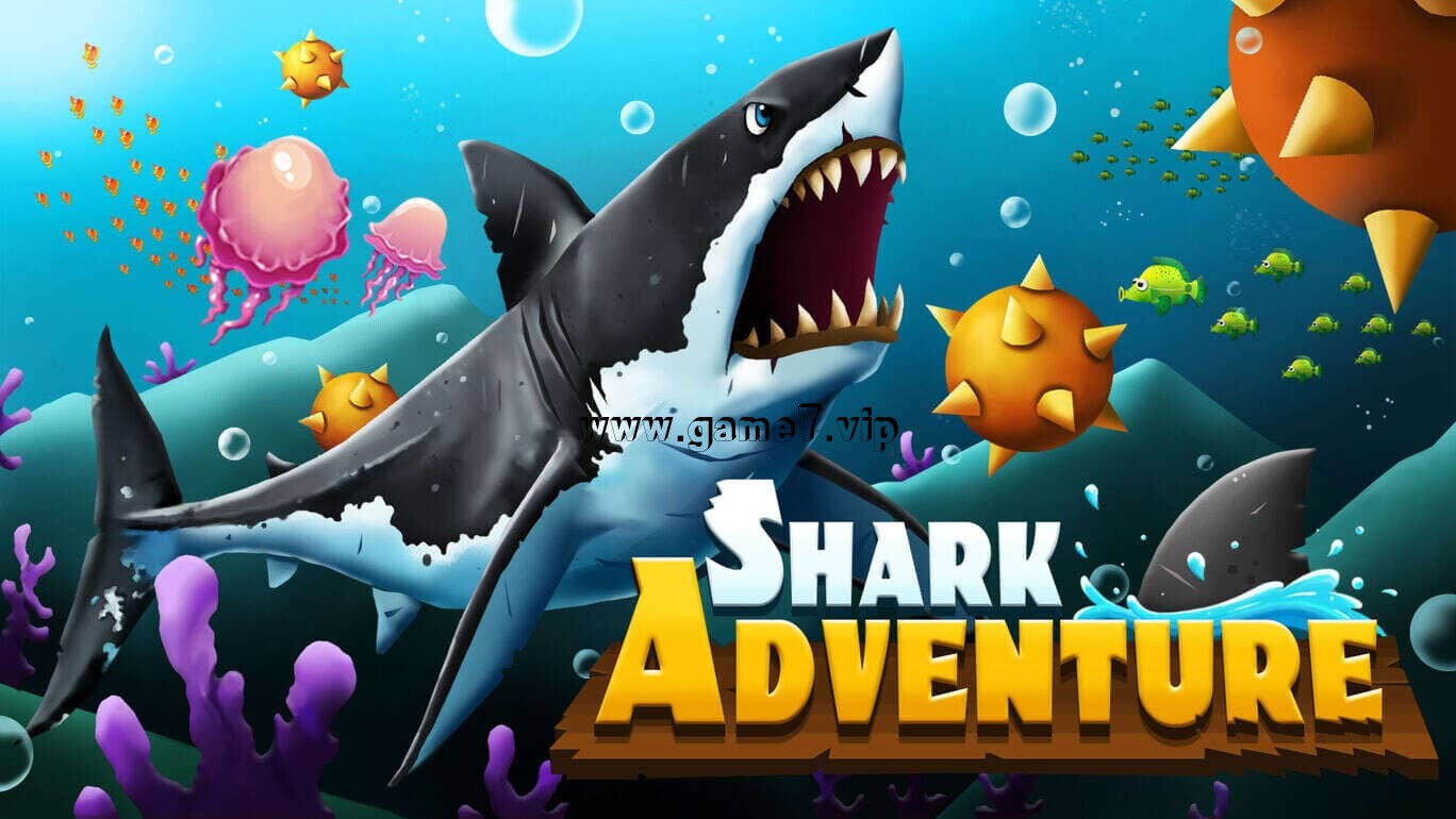 鲨鱼大冒险 Shark Adventure