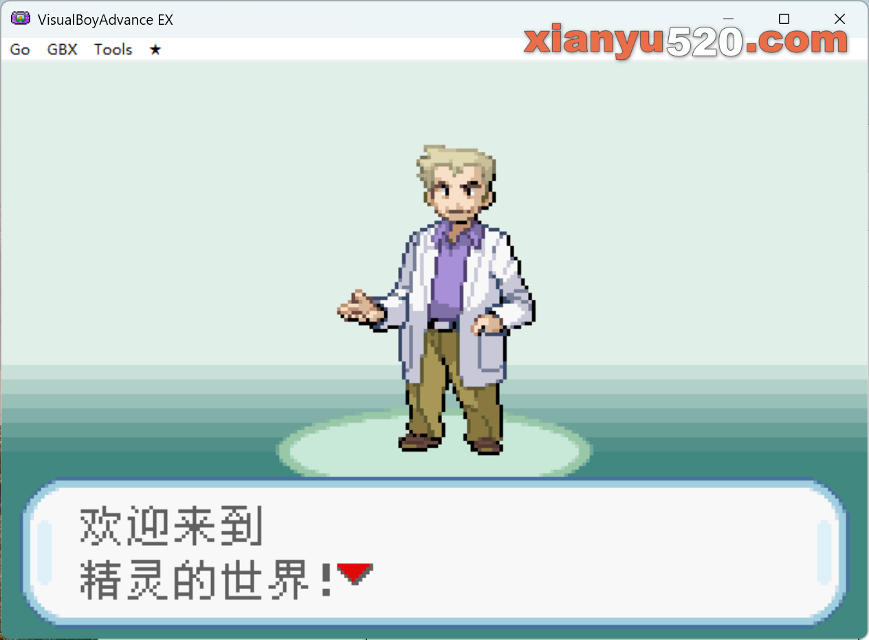 口袋妖怪合集|汉化中文|Pokemon Ebonyphantom|精灵宝可梦合集 - 1
