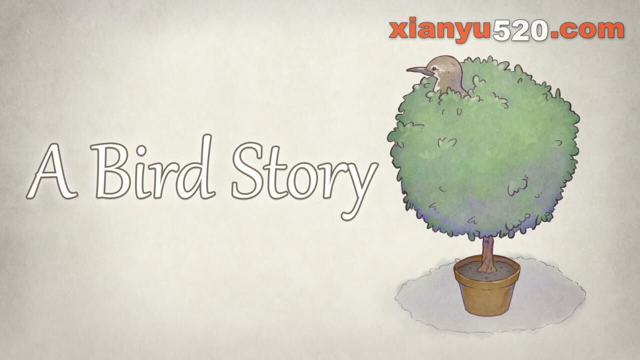 鸟的故事丨A Bird Story